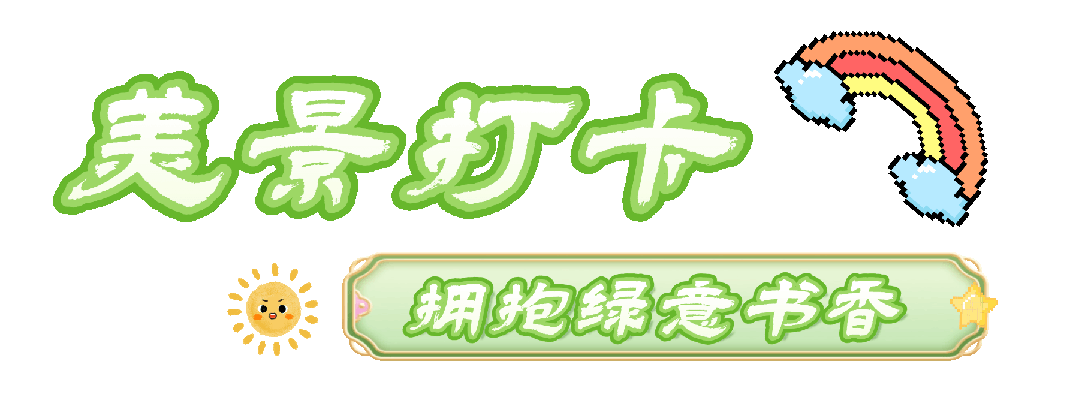 竖过来贝 (3).gif