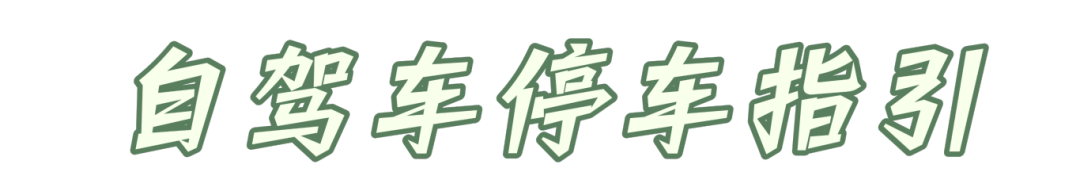 竖过来贝 (5).png